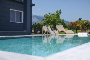 Zeusplace Pool Villa Olympus Riviera